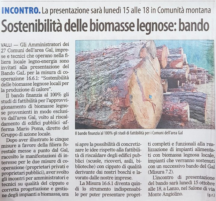 Articolo del "il Risveglio" inerente alla sostenibilità delle biomasse legnose